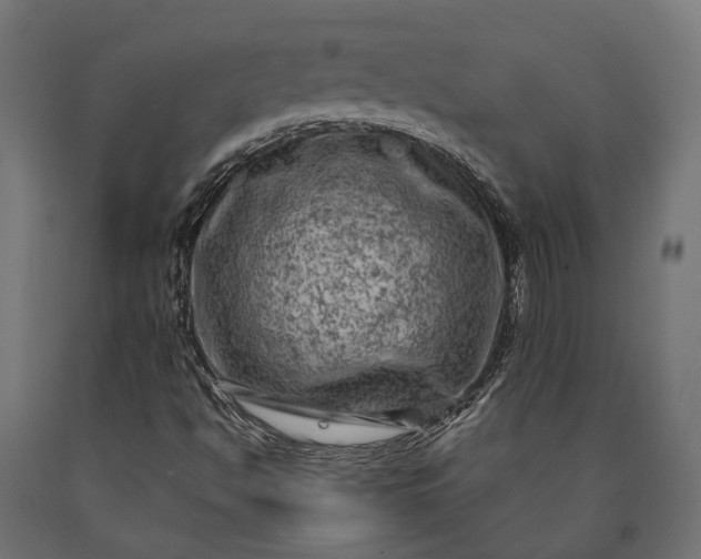 X0000090731494200708031511