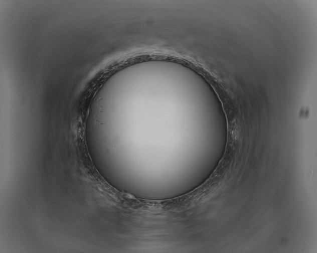 X0000090731495200708031511