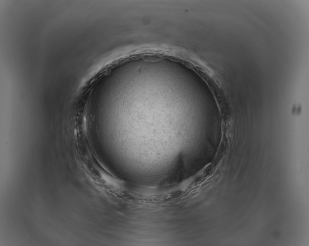 X0000090731496200708031511