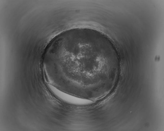 X0000090731497200708031511