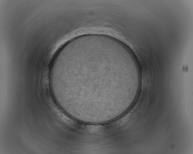 X0000090731498200708031511