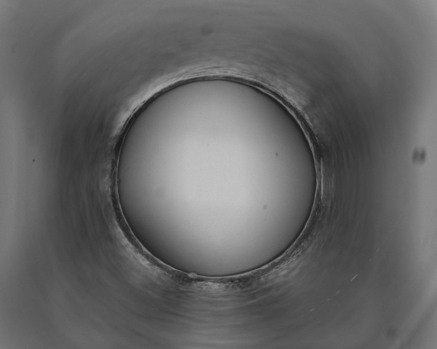 X0000090731500200708031512