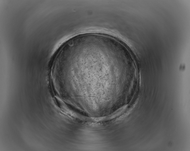X0000090731501200708031512