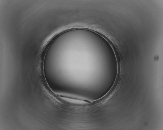 X0000090731502200708031512