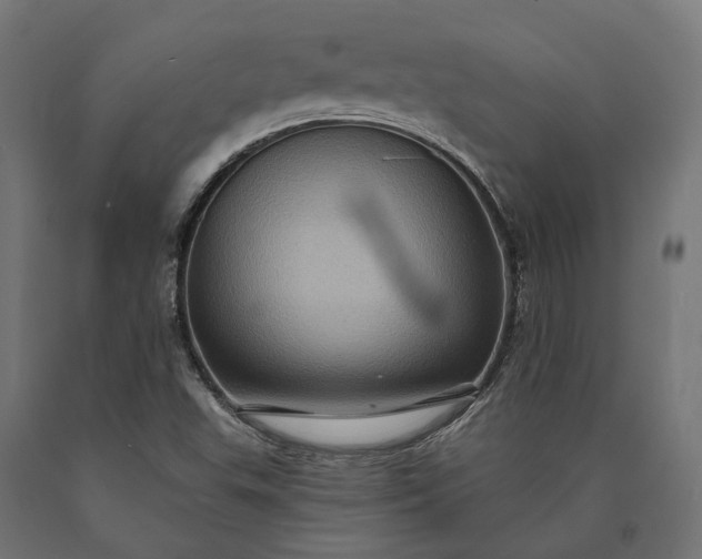 X0000090731503200708031512