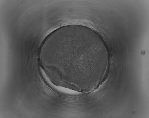 X0000090731505200708031512