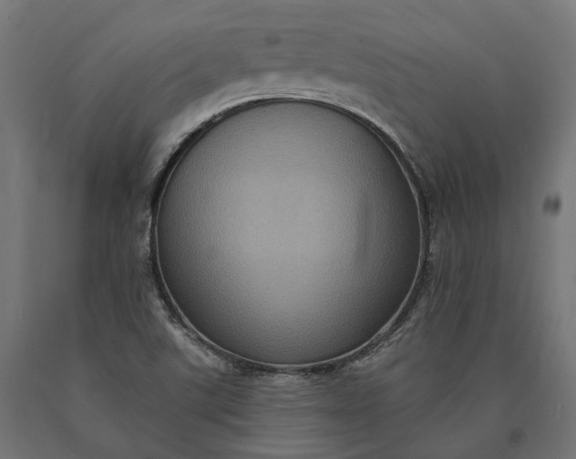 X0000090731507200708031512