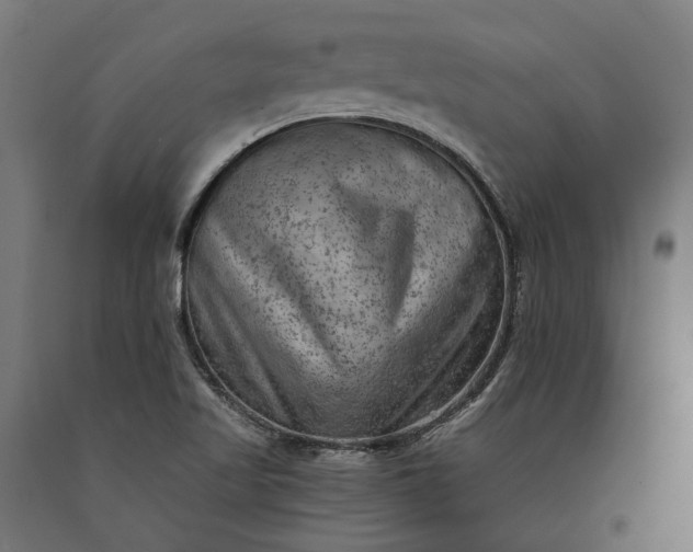 X0000090731509200708031512