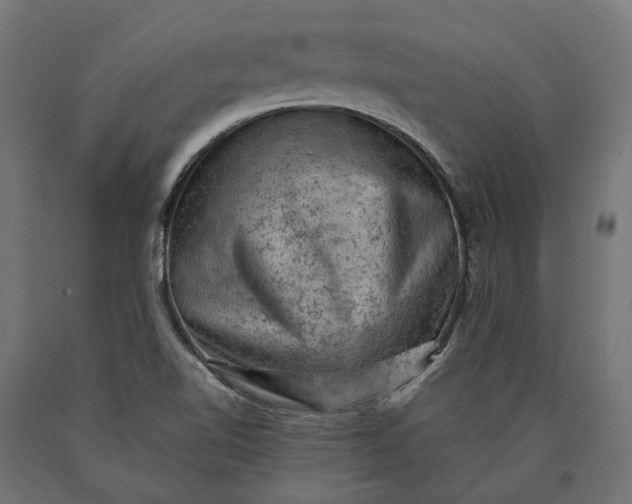 X0000090731510200708031512