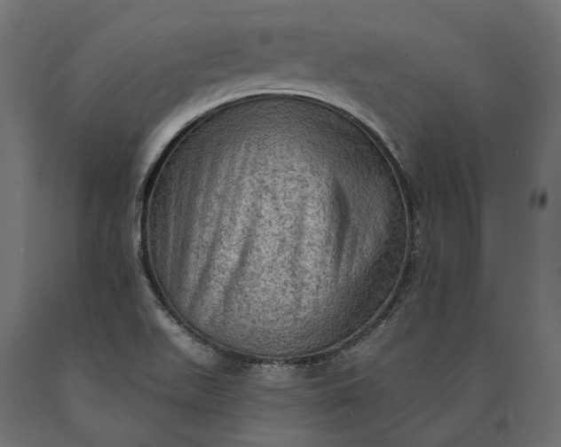 X0000090731511200708031512