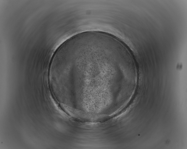 X0000090731513200708031512