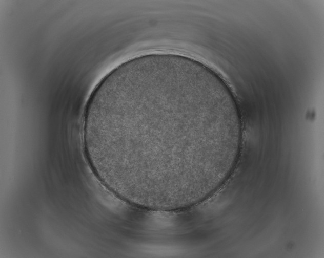 X0000090731514200708031512