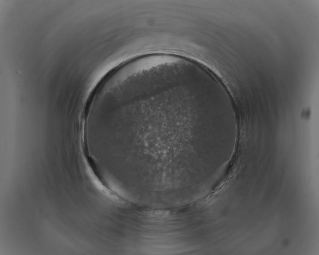 X0000090731515200708031512