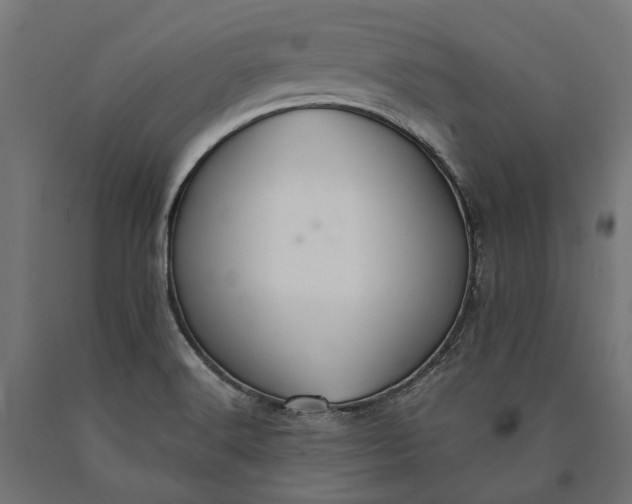 X0000090731516200708031512