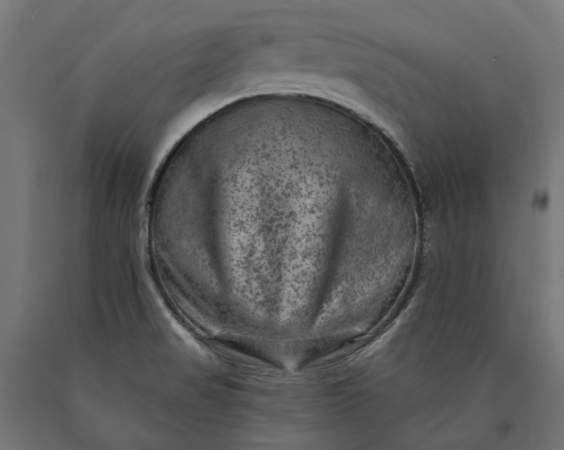 X0000090731517200708031512