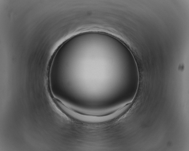 X0000090731518200708031512