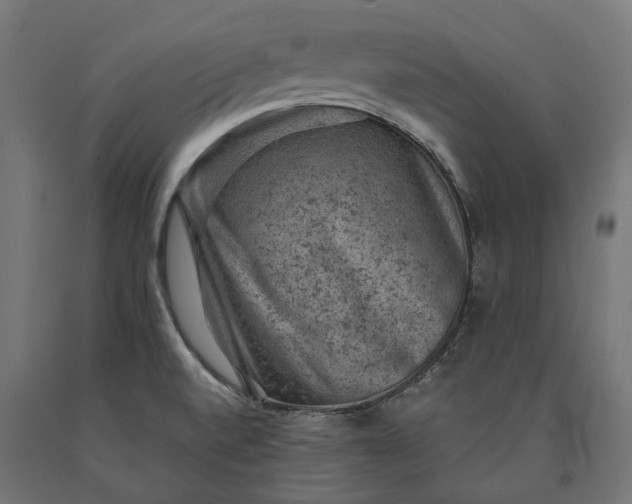 X0000090731520200708031512