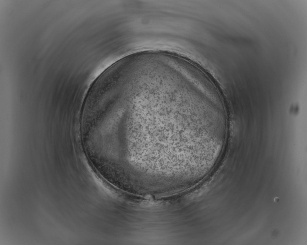X0000090731521200708031512