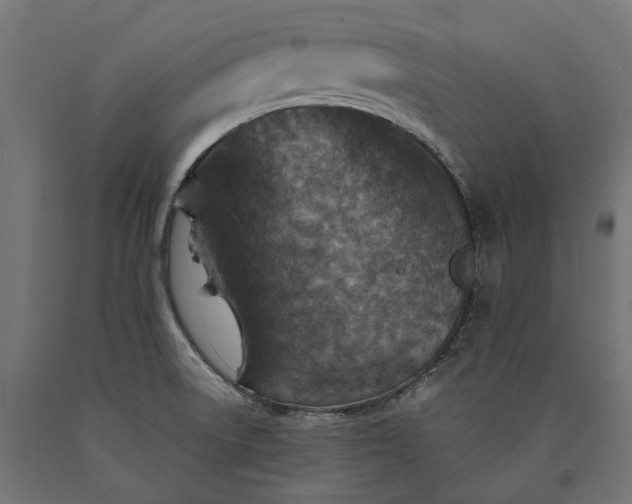 X0000090731522200708031512