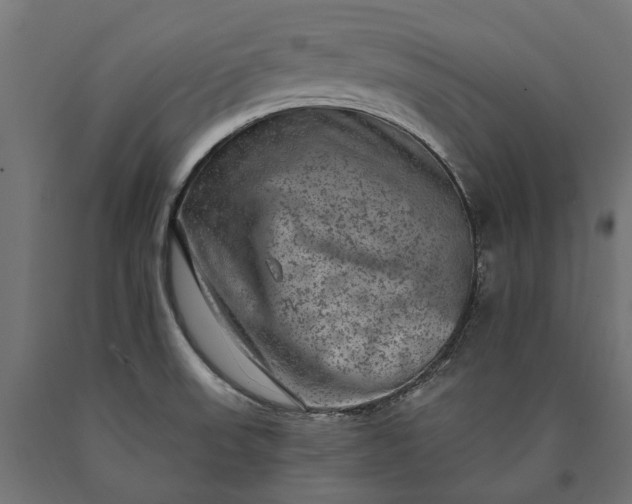X0000090731523200708031512