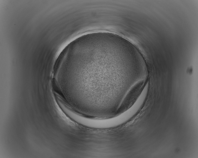 X0000090731524200708031512