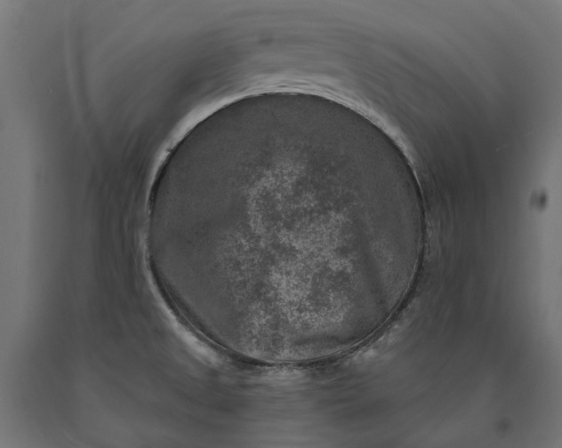 X0000090731525200708031512
