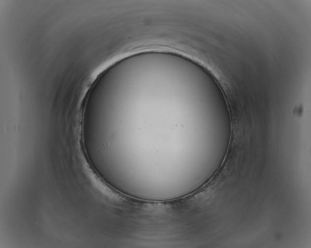 X0000090731526200708031512