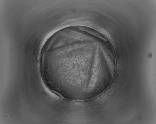 X0000090731528200708031512
