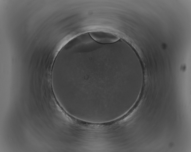 X0000090731529200708031512