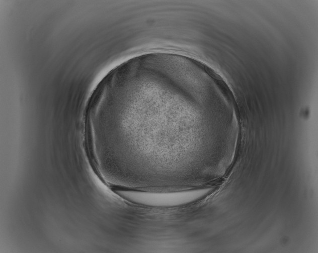 X0000090731531200708031512