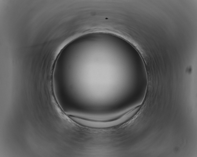 X0000090731534200708031512