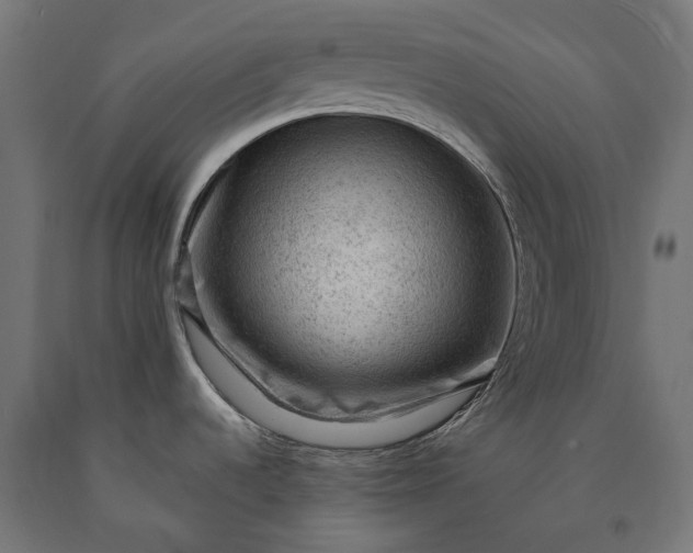 X0000090731536200708031512