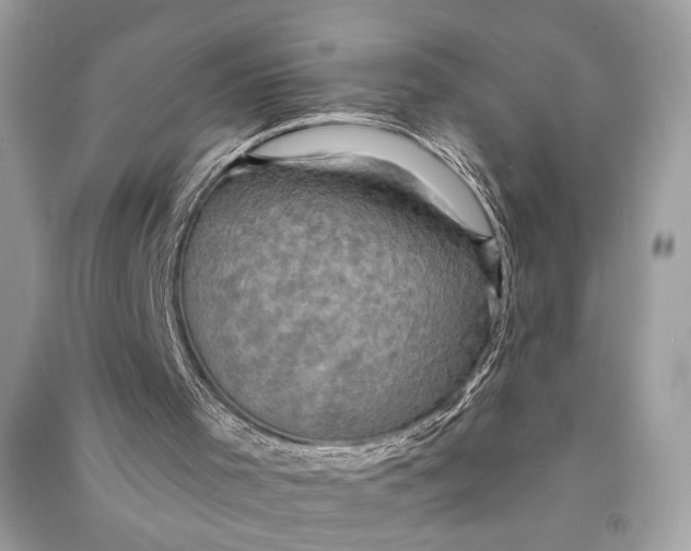 X0000090730001200708101650