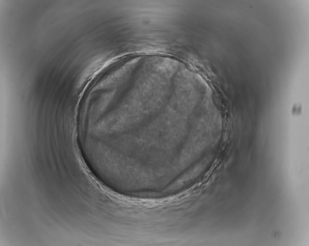 X0000090730002200708101650