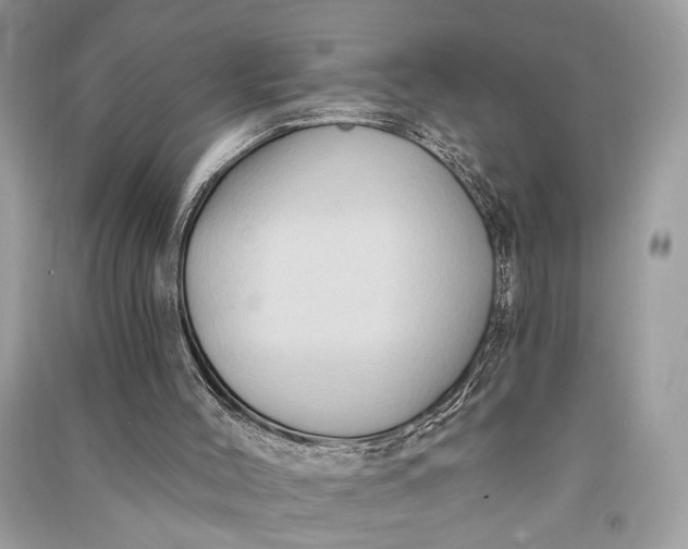 X0000090730004200708101650