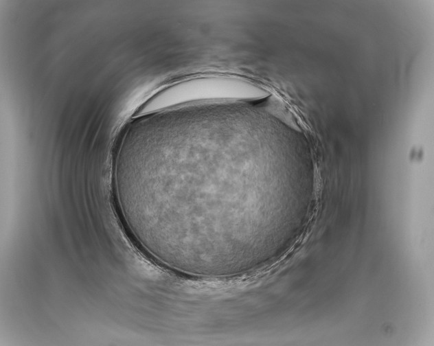 X0000090730005200708101650