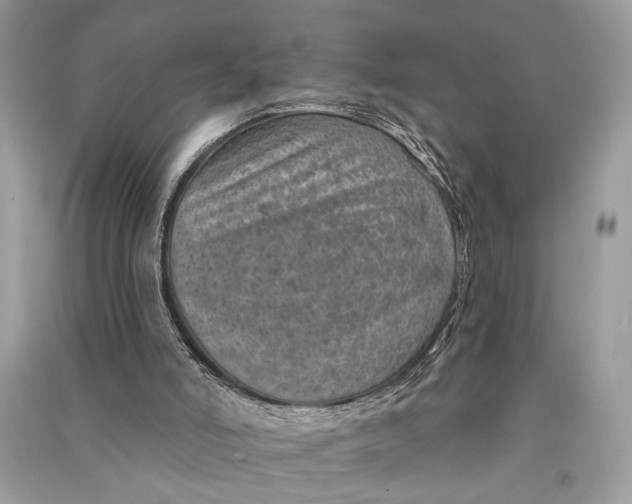 X0000090730006200708101650