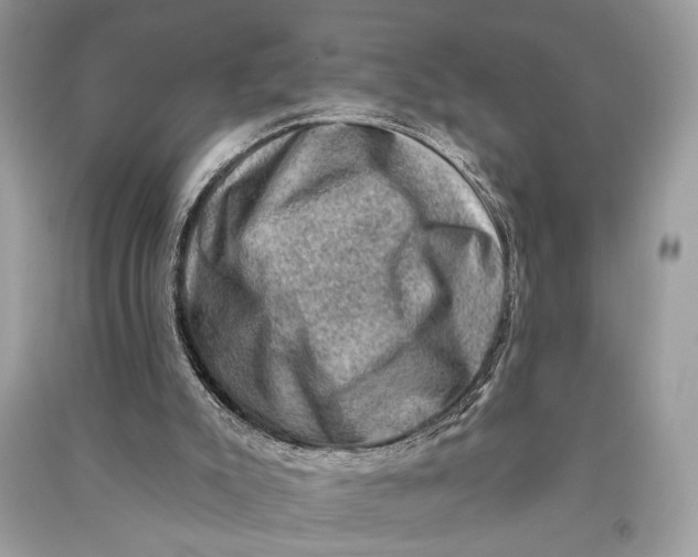 X0000090730007200708101650