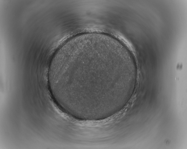 X0000090730009200708101650