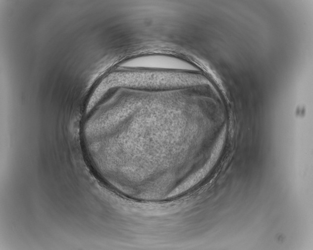 X0000090730010200708101650