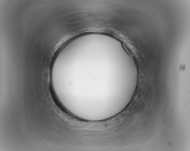 X0000090730011200708101650