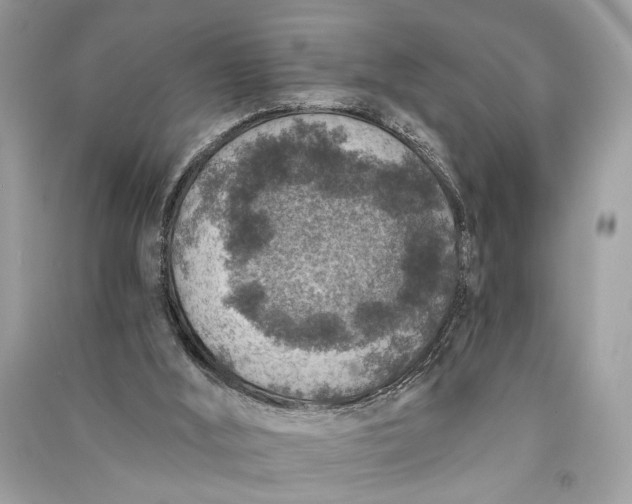 X0000090730012200708101650