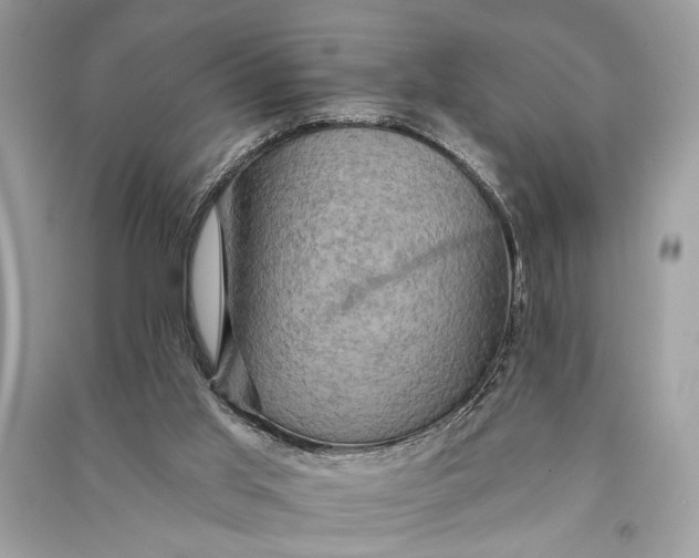 X0000090730013200708101650