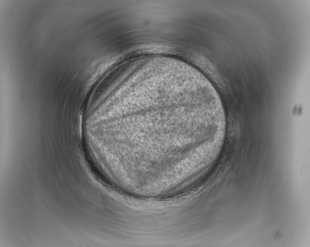 X0000090730014200708101650