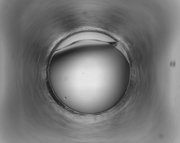 X0000090730015200708101650