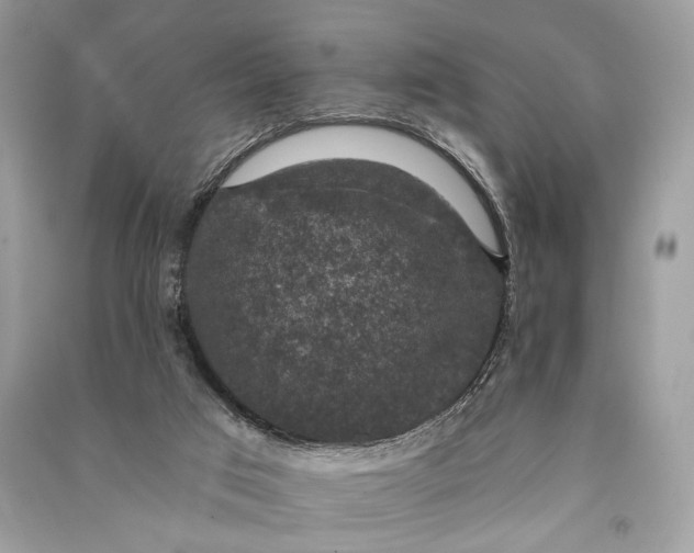 X0000090730017200708101650