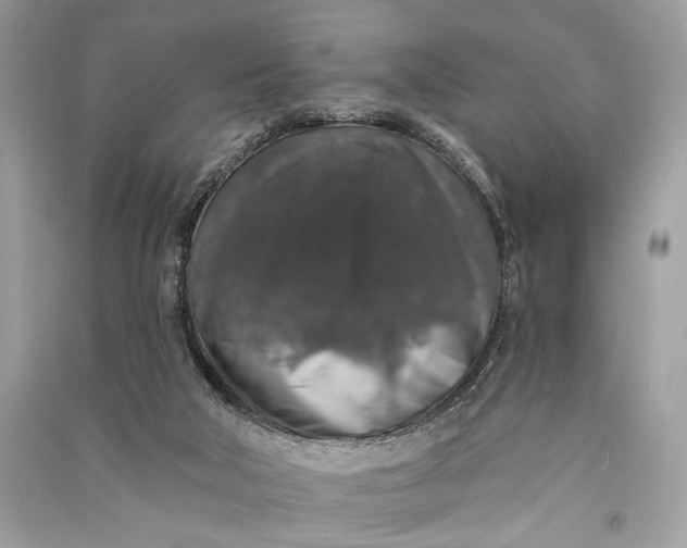 X0000090730018200708101650