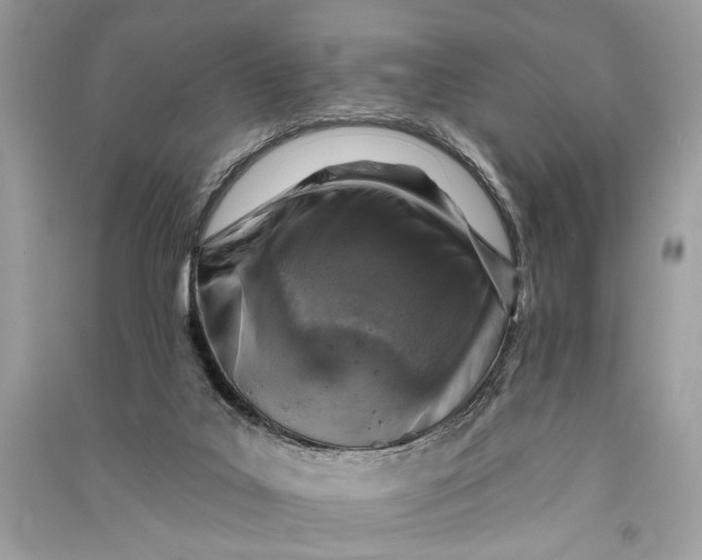 X0000090730019200708101650