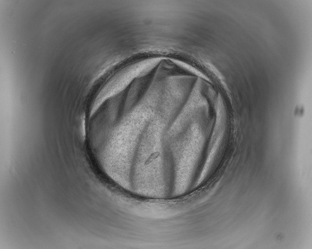 X0000090730020200708101650