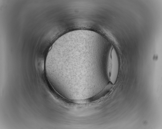 X0000090730021200708101650